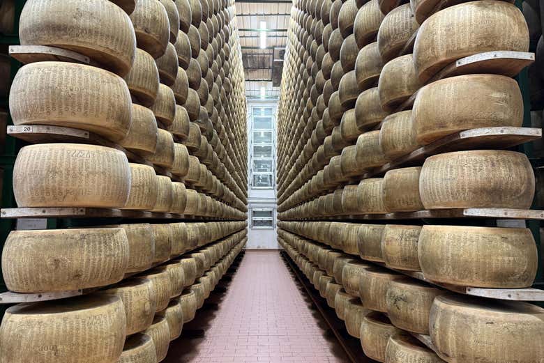 El queso parmesano, un icono de Parma